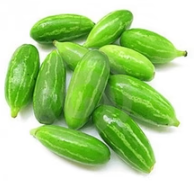 Kundru 