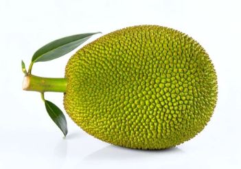 Kathal (jackfruit) 