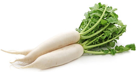 Mooli 