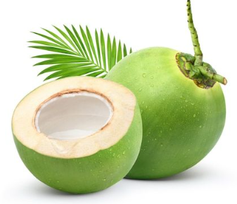 Coconut 