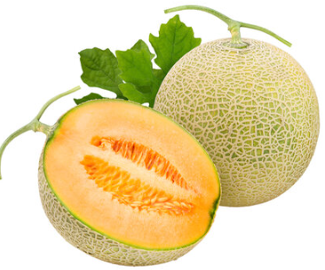 Muskmelon  