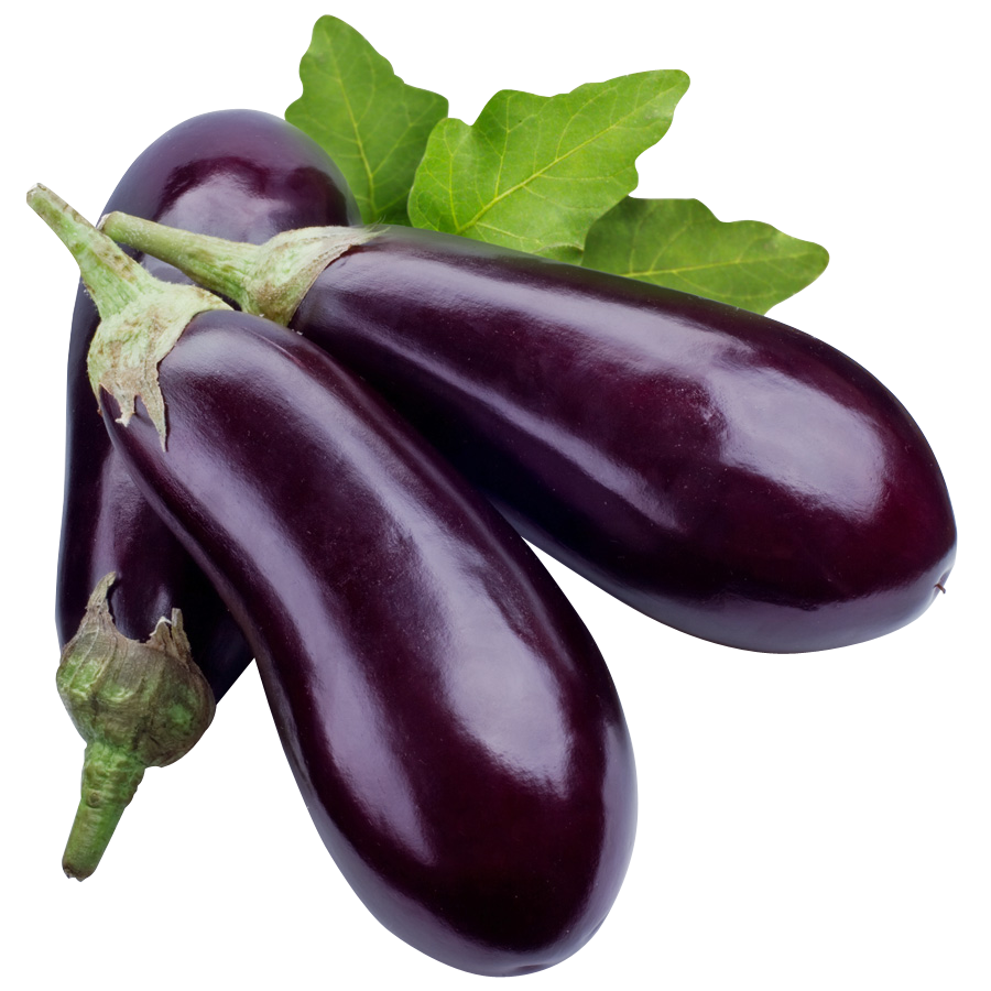 Brinjal
