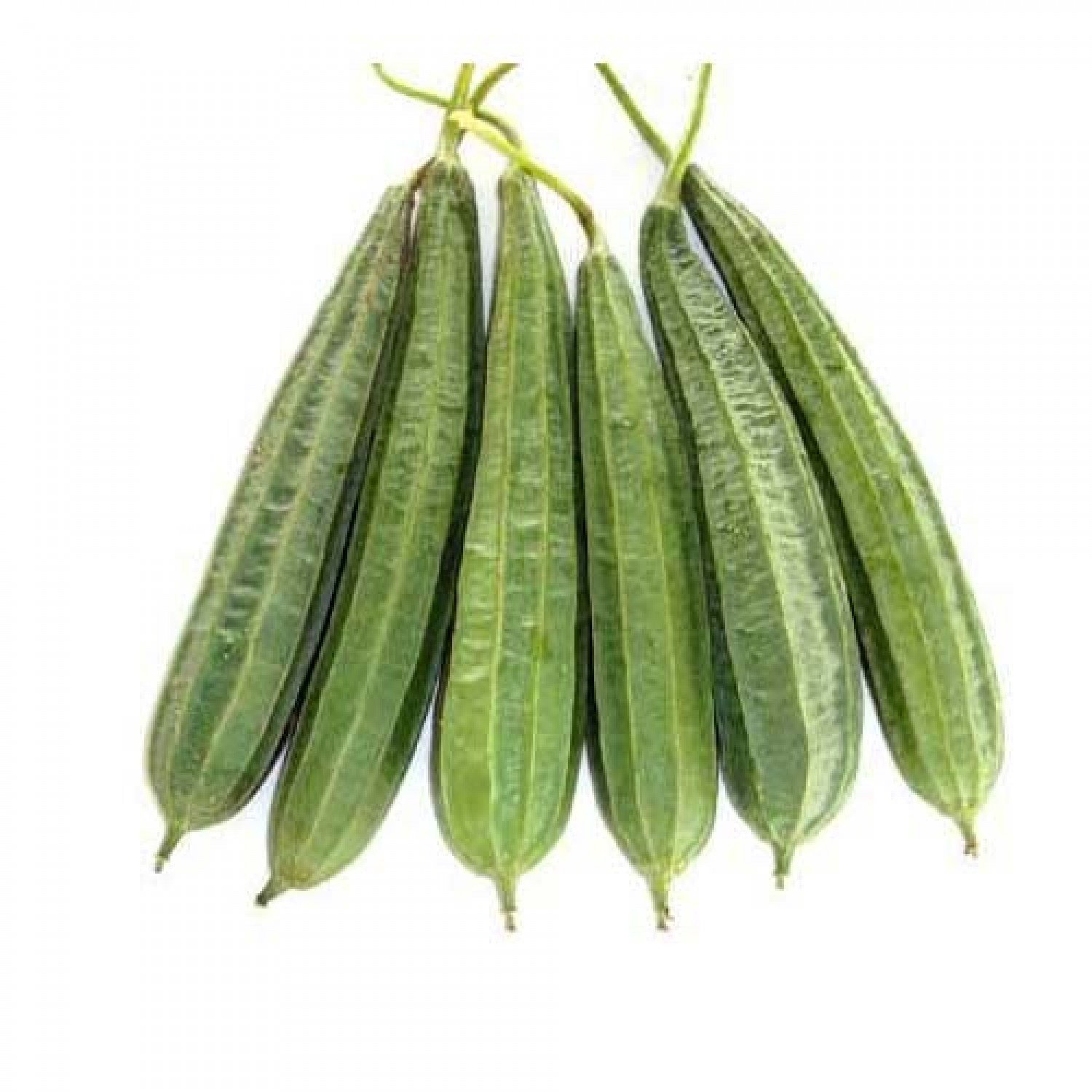 Torai 