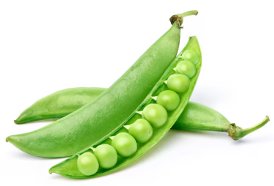 Pea  