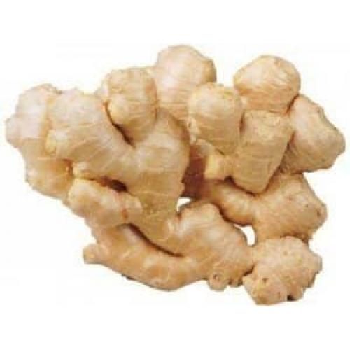 Ginger (Adrak) 